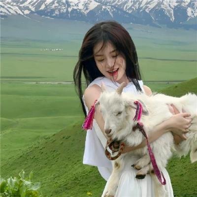 列蒙切洛图书馆大逃亡